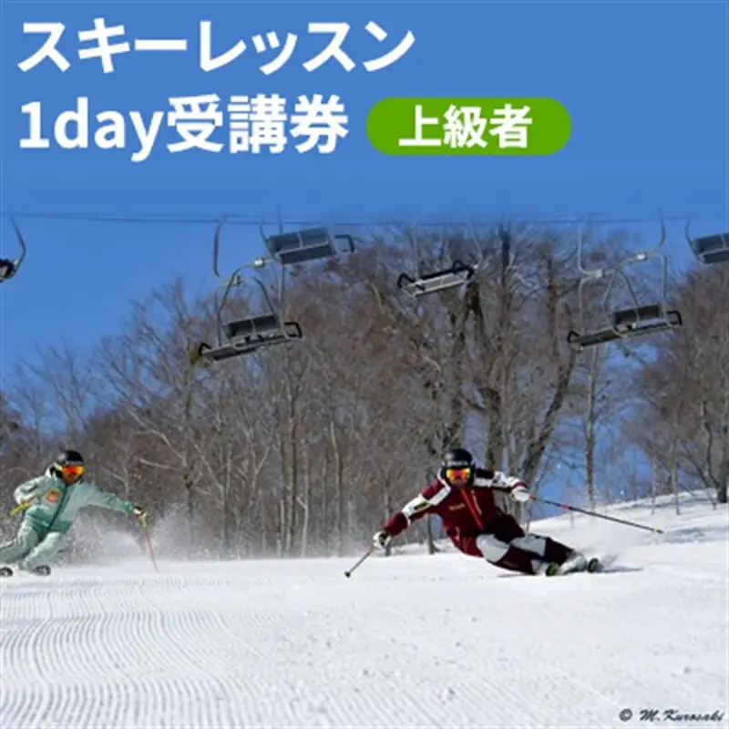 スキーレッスン 1day 受講券 ～上級者～ （ チケット 上級者 スキーレッスン 体験 スキーチケット スキー場 施設利用券 スポーツ 魚沼 ） 