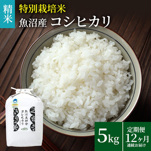 米農家自慢の 特別栽培米 魚沼産 コシヒカリ（精米）5kg×1袋 12ヶ月連続お届け お米 
