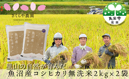  令和8年産 さくらや農園 魚沼産コシヒカリ 無洗米2kg×2 お米 