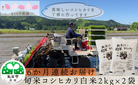 【定期便】 魚沼産 コシヒカリ 魚沼の旬米コシヒカリ 精米 2kg×2 6ヶ月連続お届け お米