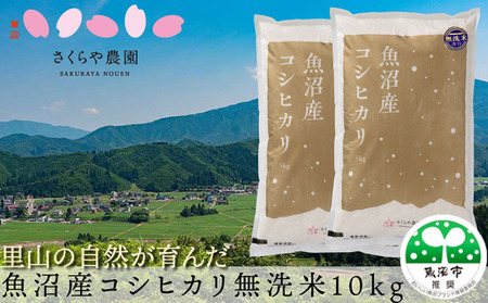 令和8年産 さくらや農園 魚沼産コシヒカリ 無洗米10kg（5kg×2袋） お米 