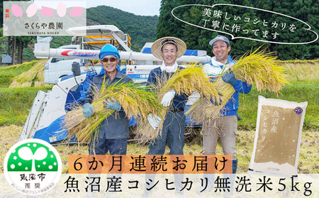 【定期便】さくらや農園 魚沼産コシヒカリ 無洗米5kg 6ヶ月連続お届け お米 
