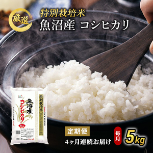 【特別栽培米】お米アドバイザー厳選 魚沼産コシヒカリ（精米）5kg 4ヶ月連続 