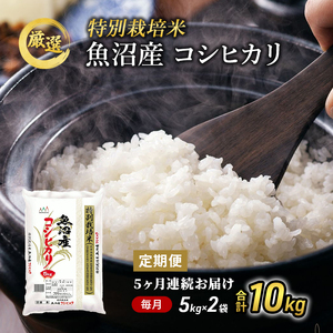 【特別栽培米】お米アドバイザー厳選 魚沼産コシヒカリ（精米）10kg（5kg×2）5ヶ月連続 