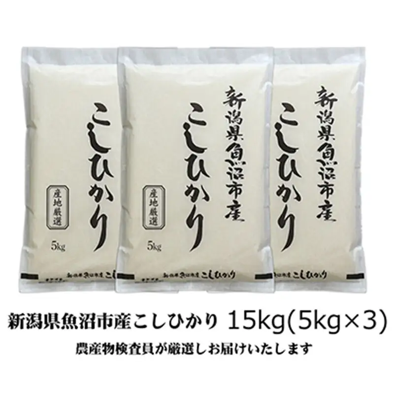 令和7年産 農産物検査員お奨め 魚沼産こしひかり（精米）15kg（5kg×3） お米 コシヒカリ 