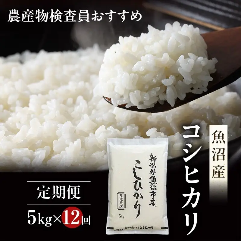 農産物検査員お奨め 魚沼産 こしひかり 精米 5kg 12ヶ月 連続お届け （ 米 定期便 コシヒカリ お米 定期 新潟 魚沼 魚沼産コシヒカリ 魚沼産こしひかり こめ コメ おこめ 白米 お楽しみ 12回 ） 新潟県 