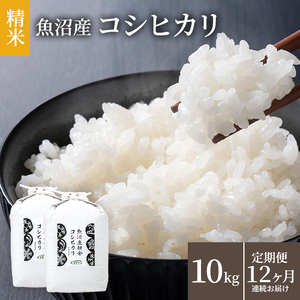 米 定期便 12ヶ月 コシヒカリ 10kg 精米 白米 お米 魚沼産コシヒカリ 新潟米 新潟 魚沼市 定期 12回