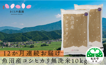 【定期便】さくらや農園 魚沼産コシヒカリ 無洗米10kg（5kg×2）12か月連続お届け お米 