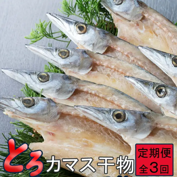 【定期便】いずま海産のトロカマス干物8枚頒布会【3回お届け】干物