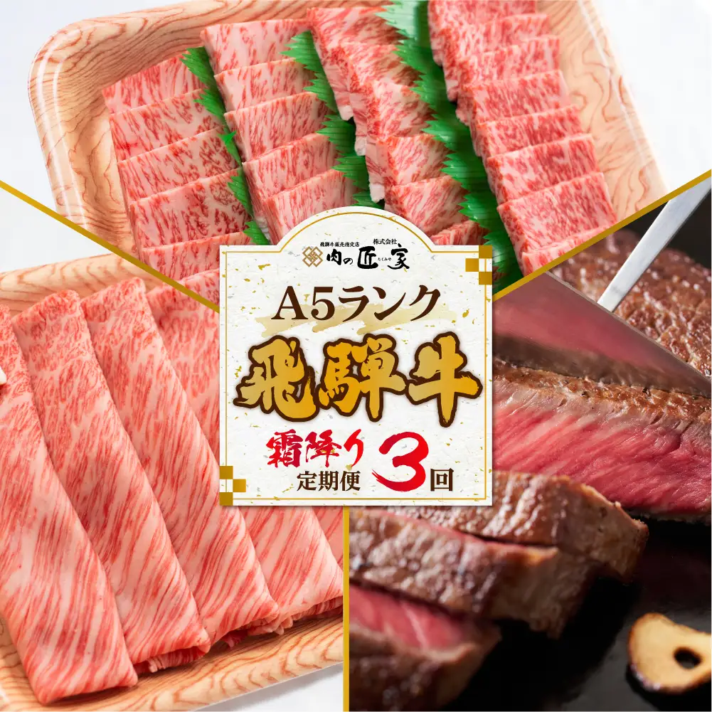 定期便 飛騨牛 【霜降り 定期便 3カ月】 BV102