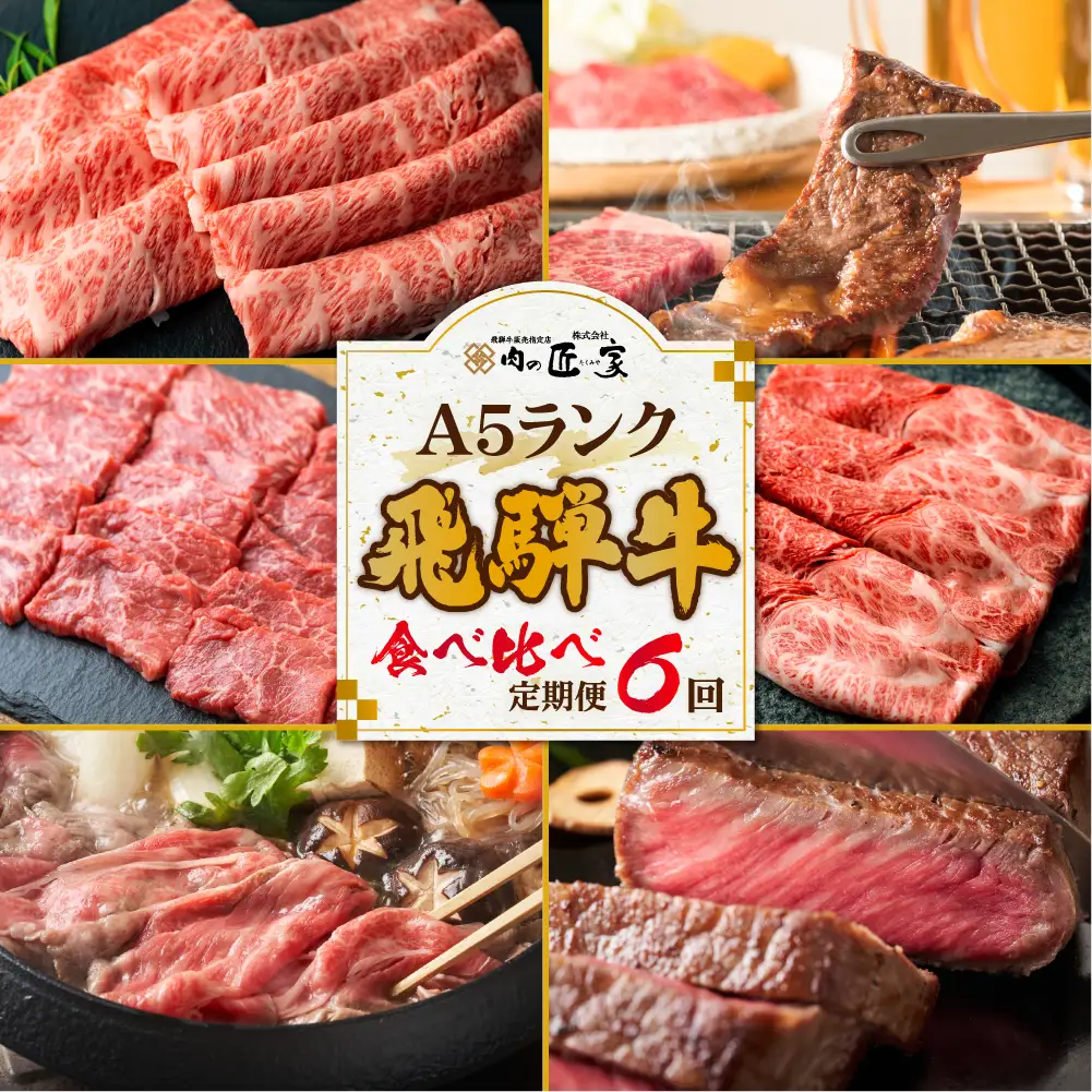 【定期便 6ヶ月】＜全6回＞飛騨牛 食べ比べ（ステーキ／焼肉／すき焼き／しゃぶしゃぶ）|  定期便 BV104