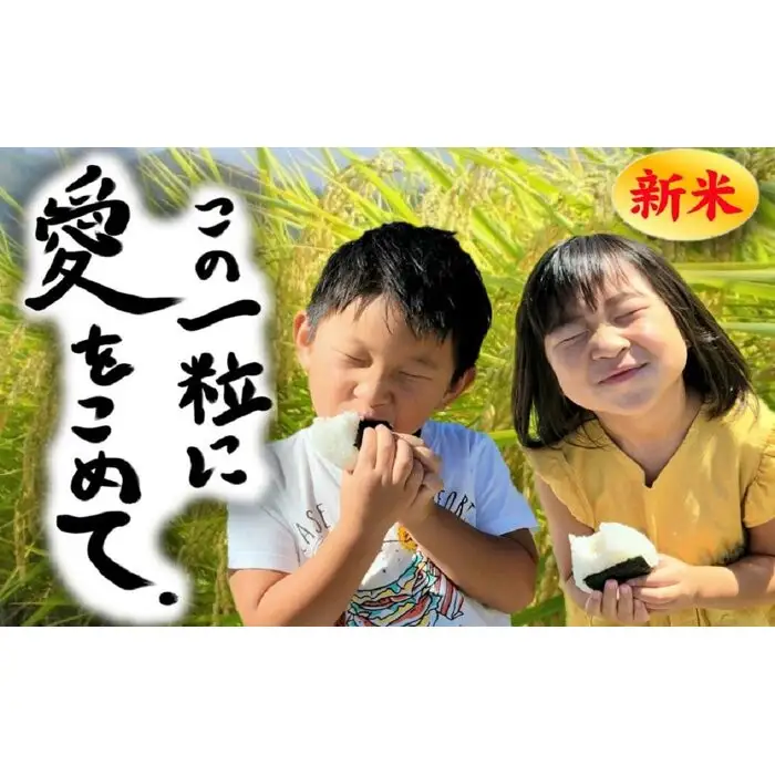 【新米】【令和8年】この一粒に愛をこめて【四代目田中の最高傑作品】玄米10kg | 玄米