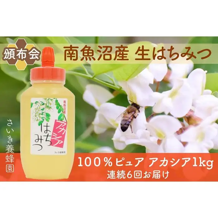 【定期便】さいき養蜂園　非加熱蜂蜜　アカシア１kg×１本　【6か月連続お届け】｜蜂蜜