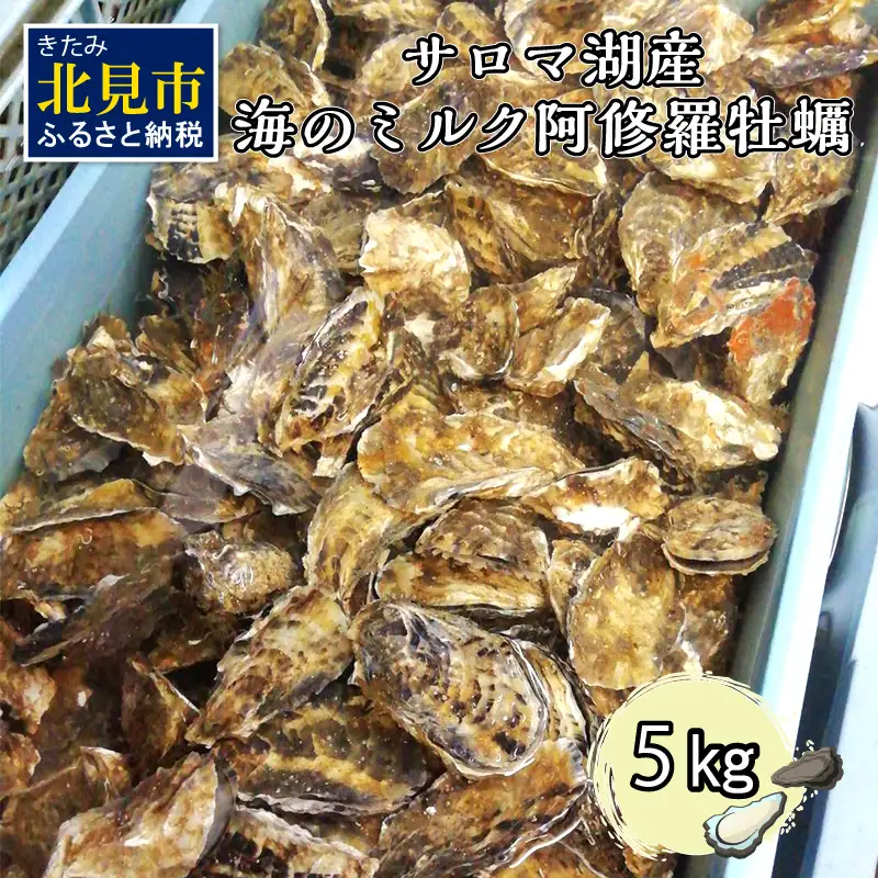 【予約：2026年10月中旬から順次発送】サロマ湖産 海のミルク 阿修羅牡蠣 5kg ( 魚介類 海鮮 魚介 牡蠣 かき カキ 海のミルク サロマ湖 5キロ 期間限定 国産 1年カキ )【031-0015-2026】
