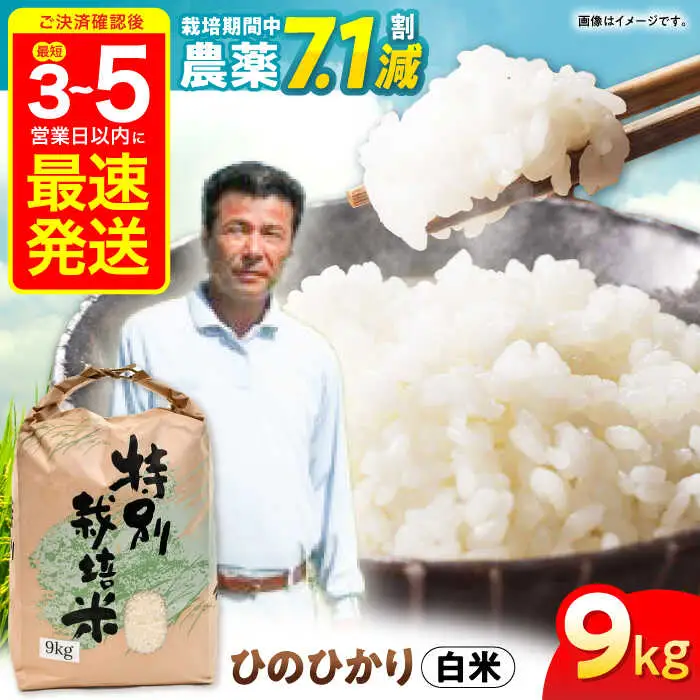 【R7年産】九州のこだわり「ひのひかり」白米 9kg / 米 こめ コメ お米 おこめ 白米 精米 白ご飯 ヒノヒカリ 長崎県産 / 諫早市 / 上島農産 [AHAS003]