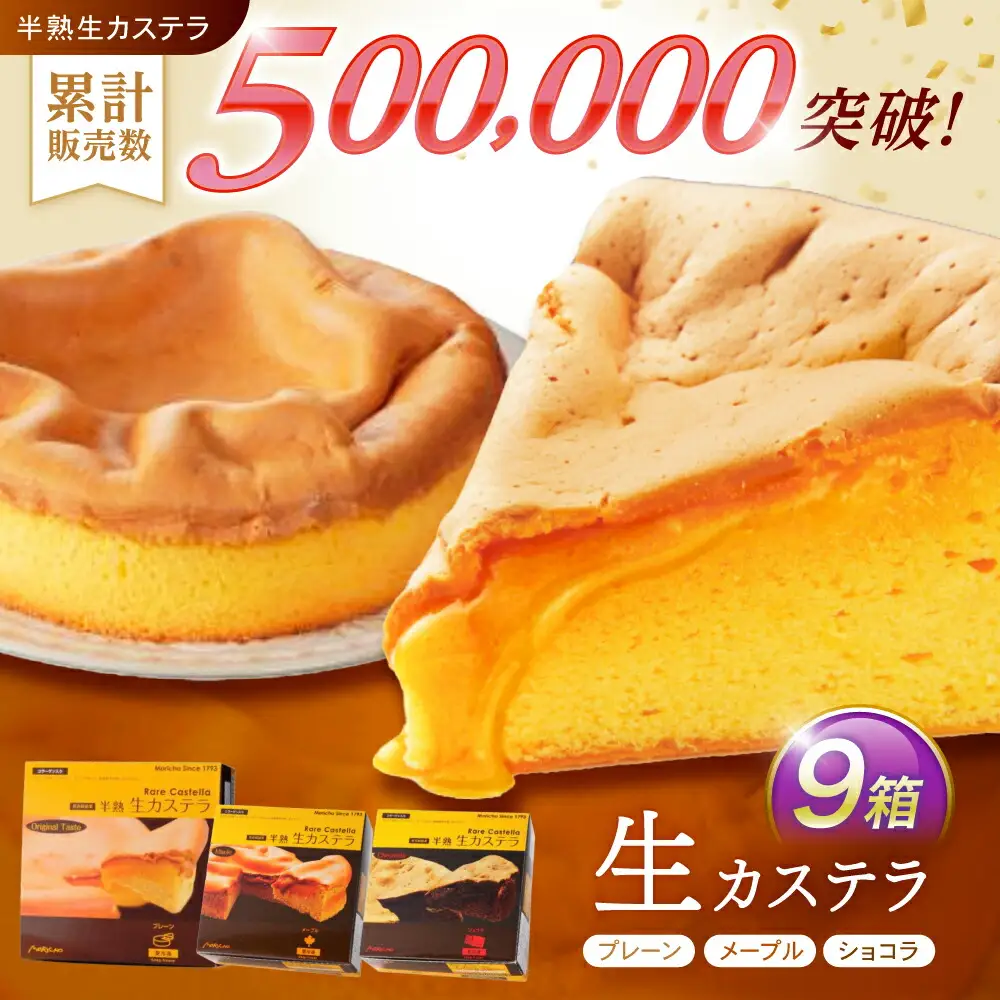 半熟生カステラ3個(プレーン・メープル・ショコラ)×3セット / カステラ かすてら 卵 人気 長崎 / 諫早市 / 株式会社菓秀苑森長 [AHAG008]
