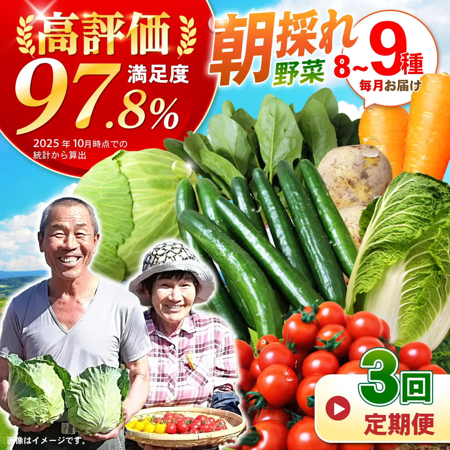 野菜 3回定期便 諫早産野菜の詰め合わせ8・9品目程度 [AHDI001]