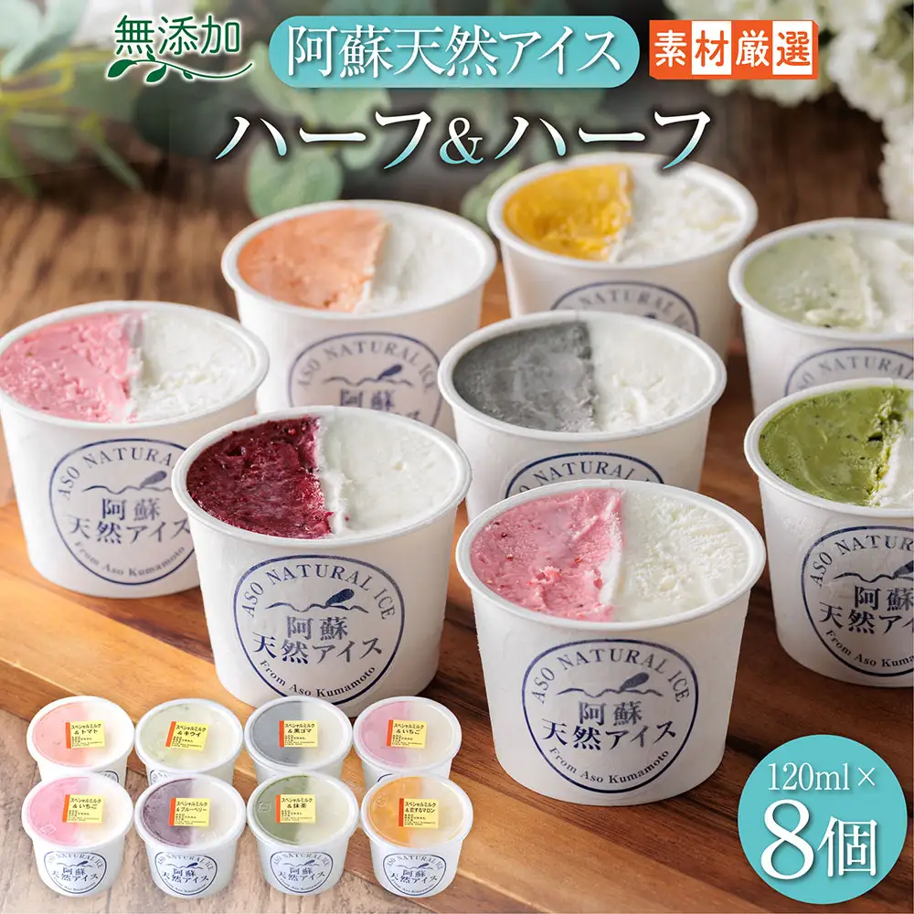 阿蘇天然アイス　ハーフ&ハーフ　8個セット