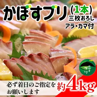 【先行予約】うすき産かぼすブリ・1本（約4kg弱）