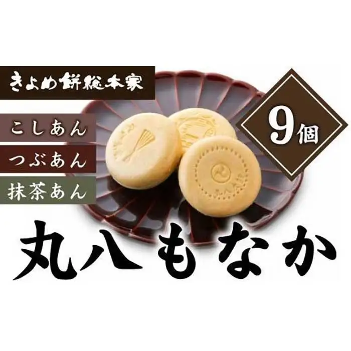 【３種の賑やかな味わい】丸八もなか9個入 和菓子