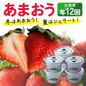 【あまおう年間定期便(年12回)】福岡県産 冬はあまおう！夏はジェラート(アイス)！年中あまおうの美味しさをお届けします！！_いちご 定期便 年12回 あまおう 280g × 4パック オリジナル 完熟あまおう ジェラート 85ml × 6個 各 6回 高級ブランドいちご フルーツサンド アイス レアチーズ ミルク ヨーグルト 3種類 冷凍 フルーツ お取り寄せ 福岡県 久留米市 送料無料 〔Dw017〕