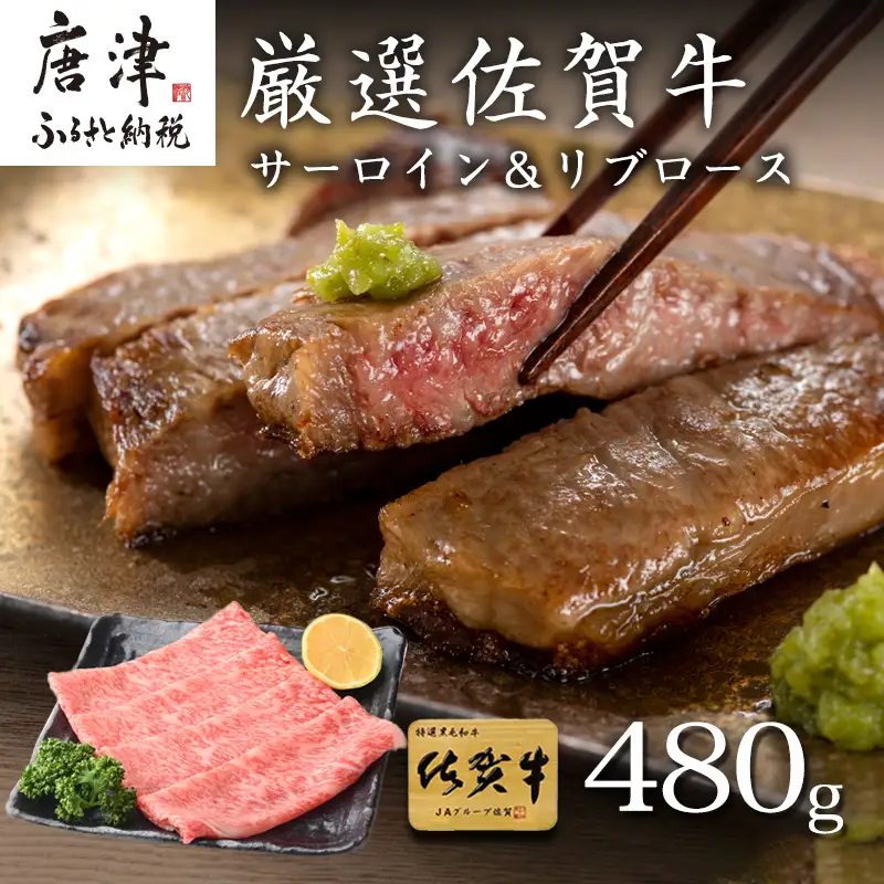 厳選佐賀牛 サーロインステーキ180g リブローススライス300g 2種(合計480g)セット ステーキ