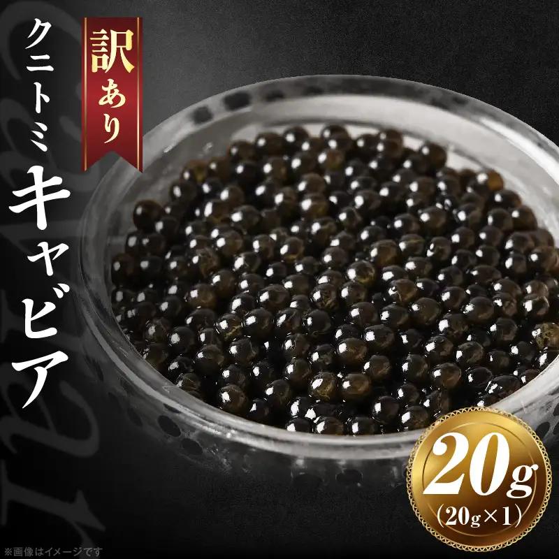 【訳あり】クニトミキャビア 20g(20g×1) キャビア 国産 国産キャビア 高級 宮崎県産 珍味 おつまみ 酒の肴 家飲み 冷凍 訳あり お取り寄せ グルメ パーティー ワイン シャンパン 記念日 ご褒美 おもてなし 魚卵 宮崎県 国富町