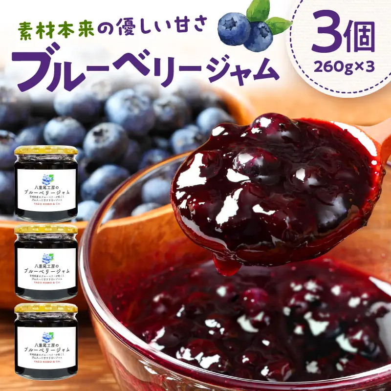 八重尾工房が贈る ブルーベリージャム 260g×3個_kn057-001