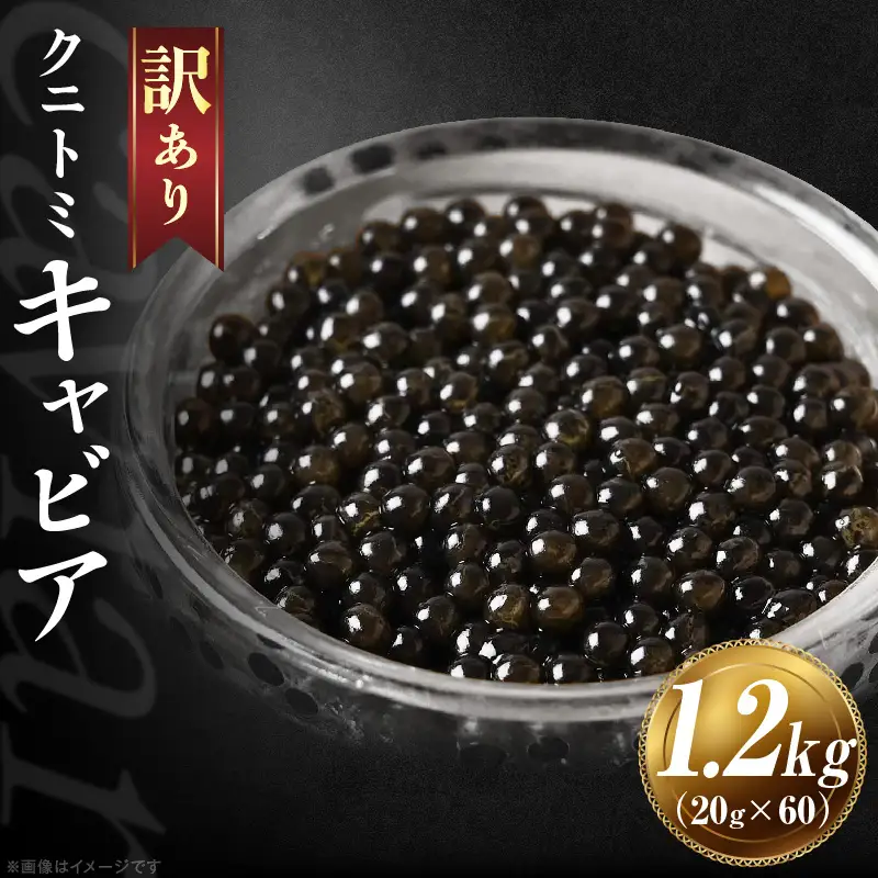 【訳あり】クニトミキャビア 1.2kgセット(20g×60) キャビア 国産 国産キャビア 高級 宮崎県産 珍味 おつまみ 酒の肴 家飲み 冷凍 訳あり お取り寄せ グルメ パーティー ワイン シャンパン 記念日 ご褒美 おもてなし 魚卵 宮崎県 国富町