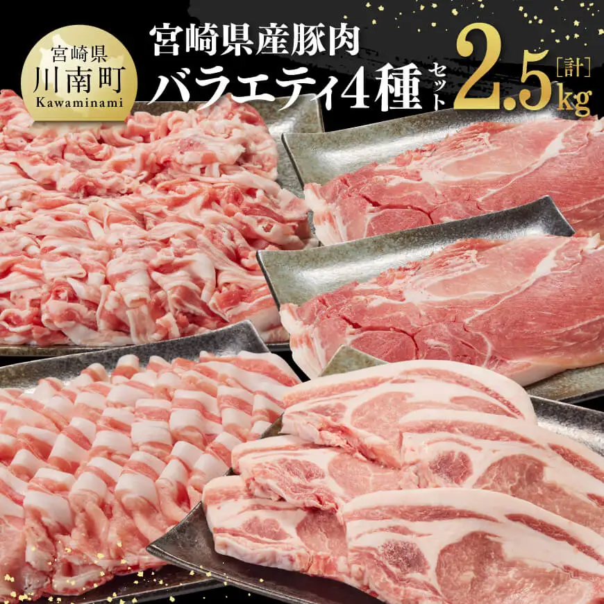 豚肉 宮崎県産豚肉バラエティ4種2.5kg