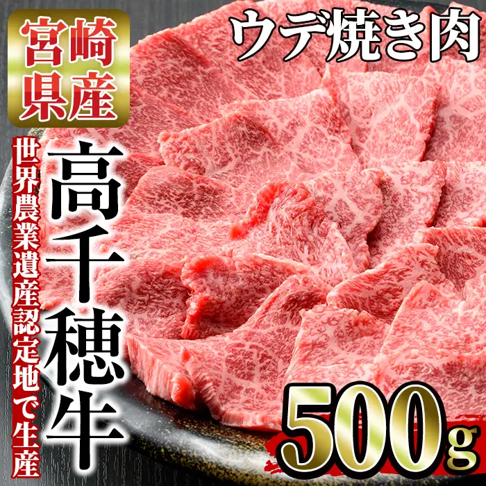 高千穂牛 ウデ焼き肉(500g)【MT001】【JAみやざき 高千穂牛ミートセンター】