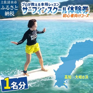 高知 サーフィン スクール 体験券 1名分（初心者向けコース）プロが教える本格レッスン 絶景 太平洋の楽園・大岐の浜 体験チケット サーフィンスクール 体験チケット 高知県 大自然 四国 マリンスポーツ【R01593】