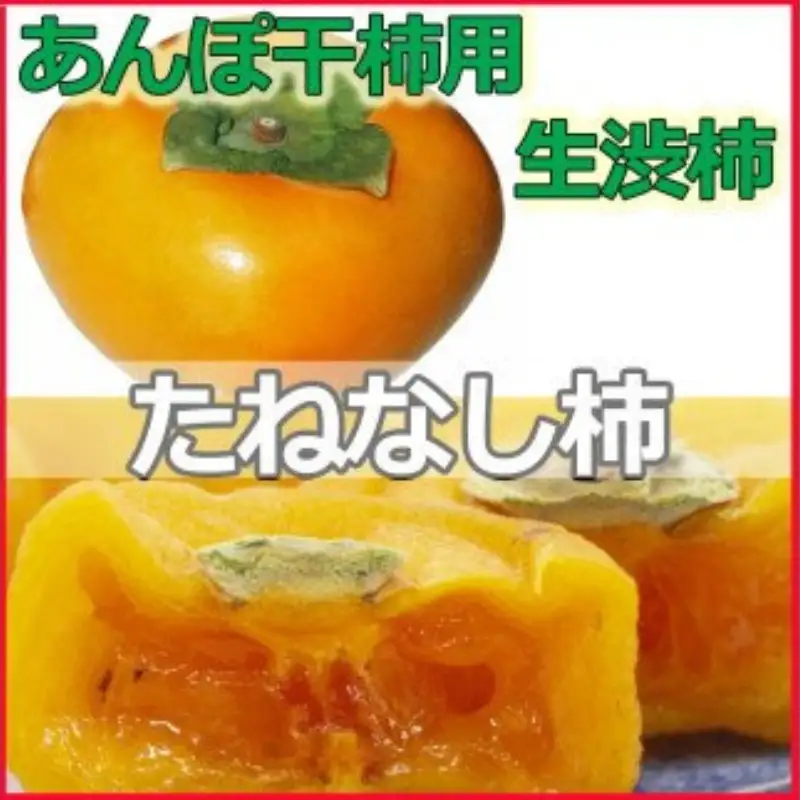 柿 生渋柿（平たねなし柿）あんぽ柿用 T軸枝無 約14.5～15kg　約60～90個 AP【art002B】