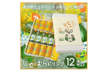 じゃばらドリンク12本セット【njb121】