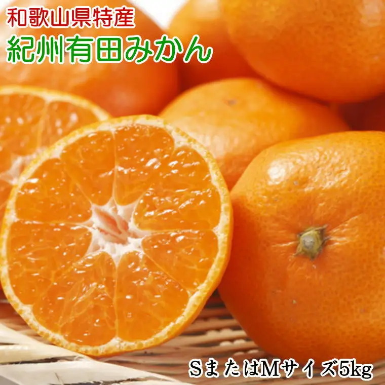 [訳あり規格]和歌山有田みかん10kg（S～Lサイズおまかせ） ※2026年11月中旬～2027年1月中旬頃順次発送 みかん 柑橘類【tec830A】