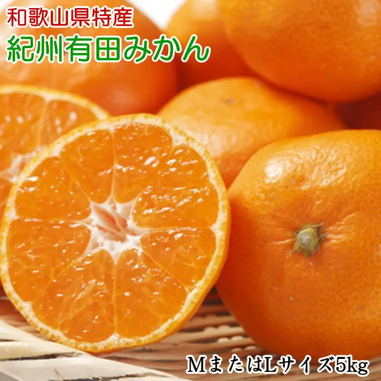 [秀品]和歌山有田みかん　5kg(MサイズまたはLサイズのいずれか) ※2026年11月中旬～2027年1月中旬頃順次発送 みかん 柑橘類【tec834B】