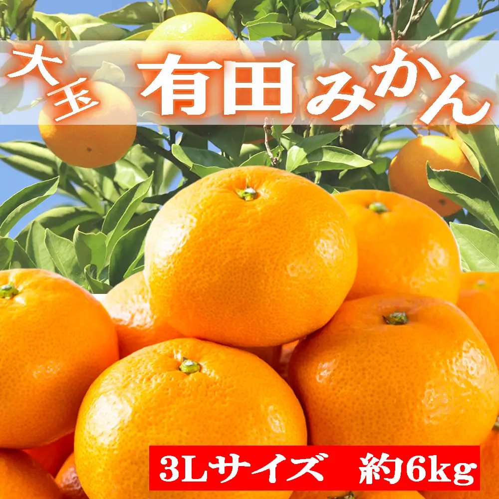 [秀品]和歌山有田みかん　6kg(3Lサイズ) ※2026年11月中旬～2027年1月中旬頃順次発送【tec836A】