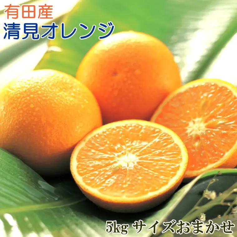 【産直】有田産清見オレンジ約5kg（サイズおまかせ・秀品）※2027年3月上旬～3月下旬頃順次発送予定【tec866B】