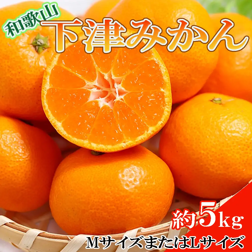 【産直・秀品】和歌山下津みかん約5kg(MサイズまたはLサイズのいずれかをお届け) ※2026年11月中旬～2027年1月中旬頃に順次発送【tec871A】