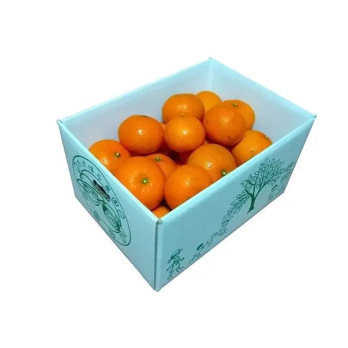 【2027年発送分 先行受付】たんかん ご家庭用バラ詰め3kg【たけはら農園】