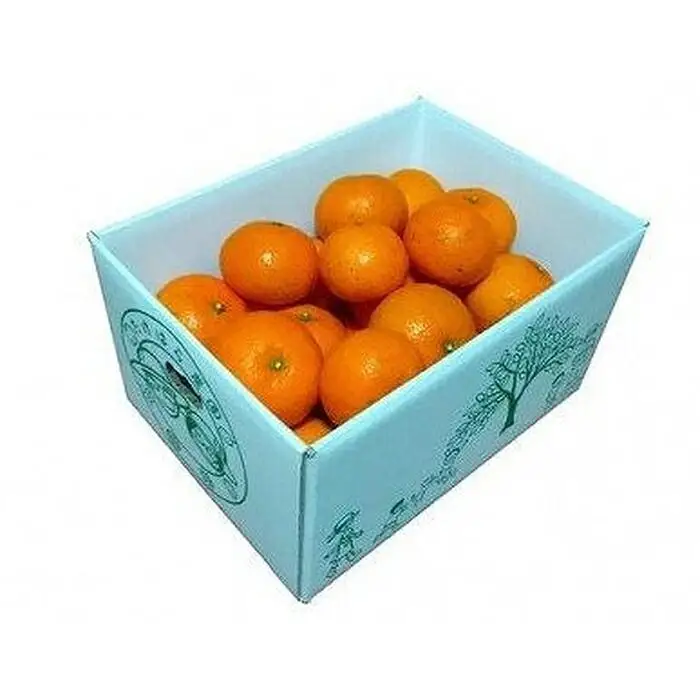 【2027年発送分 先行受付】たんかん ご家庭用バラ詰め3kg×2箱【たけはら農園】