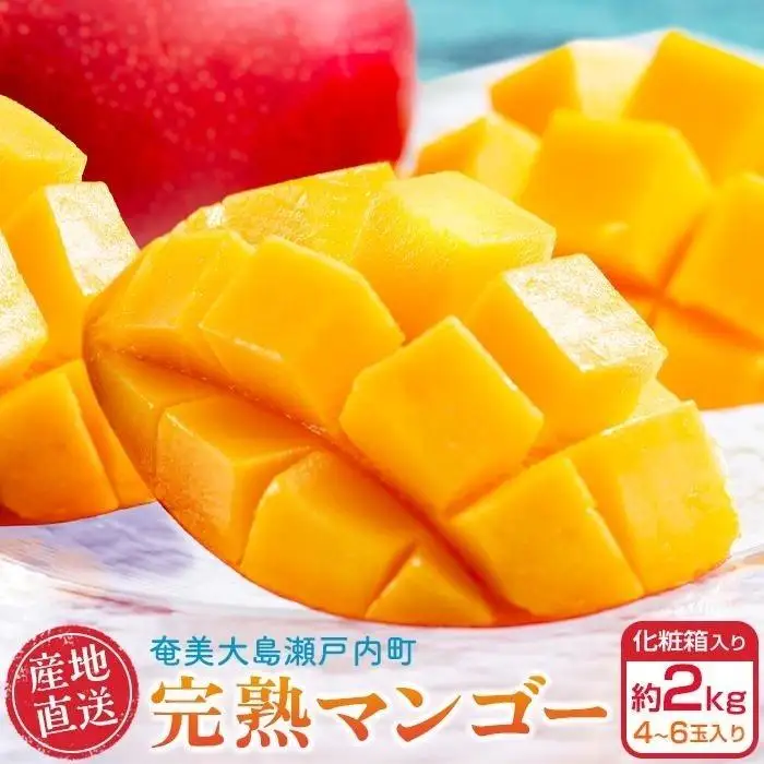 【2026年 先行予約】奄美完熟マンゴー 化粧箱 約2kg(4～6玉入り) 農家直送！