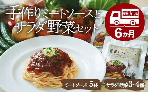 【全6回定期便】サラダ野菜×ミートソース /ヒロファミリーフーズ[AGBX030] 野菜 サラダ