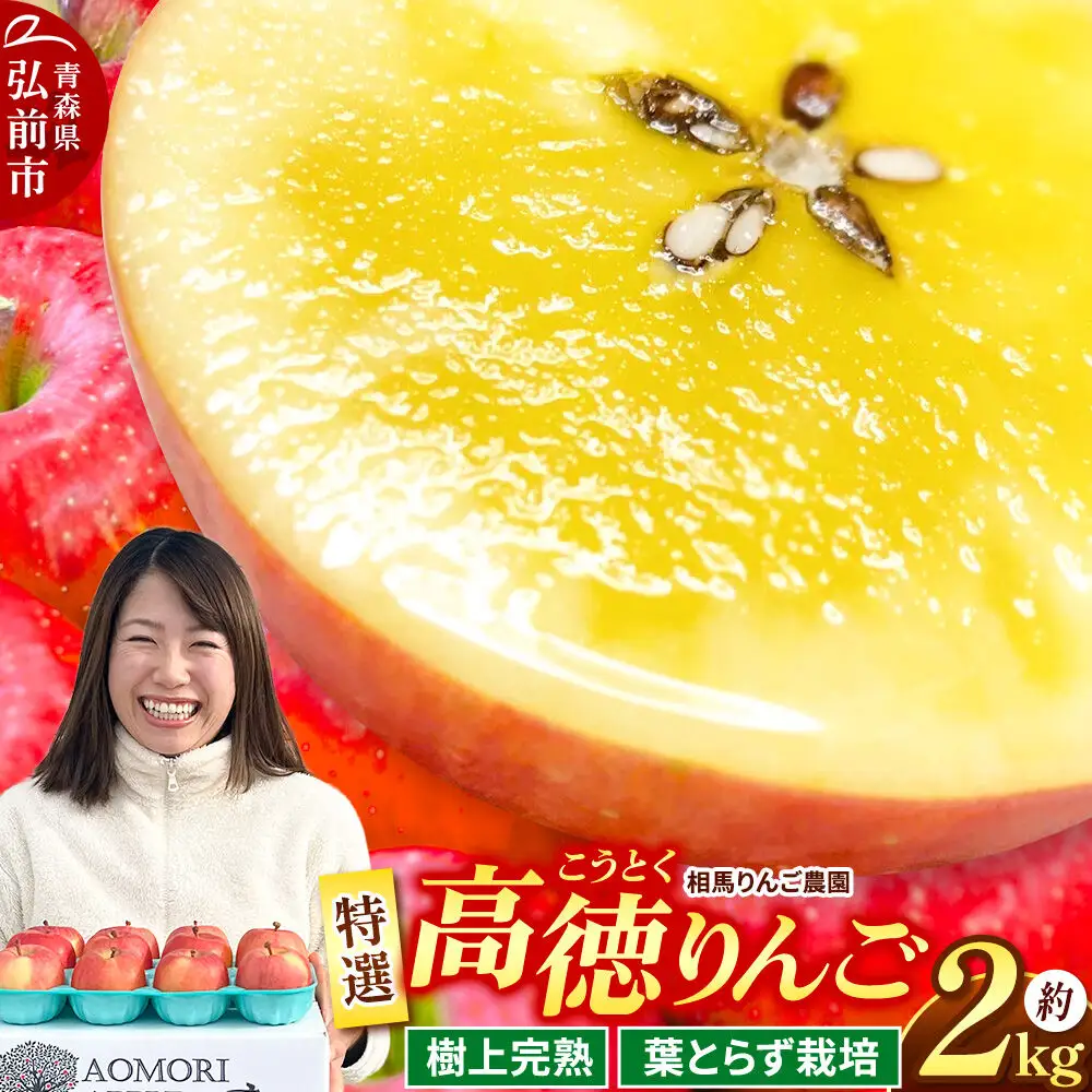 【26年12月発送】りんご 高徳（こうとく）【特選】約2kg 先行受付 青森県 弘前市 果物 フルーツ 林檎 リンゴ くだもの ギフト 贈り物