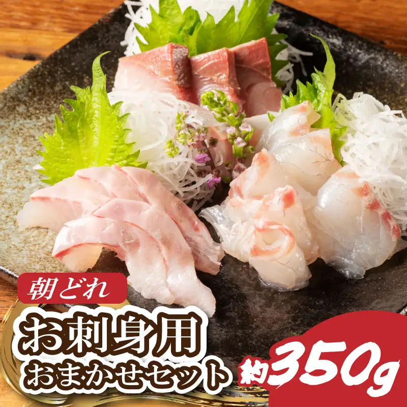 刺し身 2～3種 約350ｇ おまかせ 刺し身