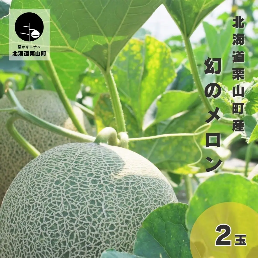 【2027年度産 先行予約】北海道栗山町産 幻のメロン 2玉