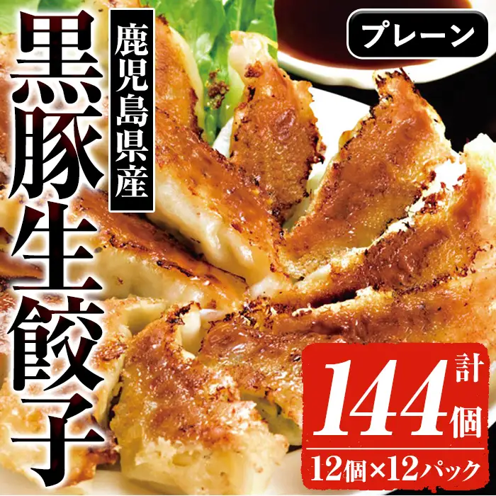 鹿児島 餃子 144個 生餃子【00-008-14】