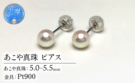 Pt900 アコヤ真珠 5-5.5mm ピアス 真珠 パール