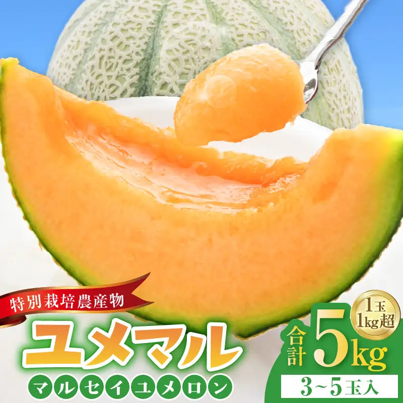 【先行予約】マルセイユメロン 3～5玉入「ユメマル」5kg《とろけるような食感！》／ 果物 フルーツ 赤肉 メロン 濃厚 果肉 産地直送 あわら 大賞 受賞  ※2027年6月中旬より順次発送 [aw012-a025]