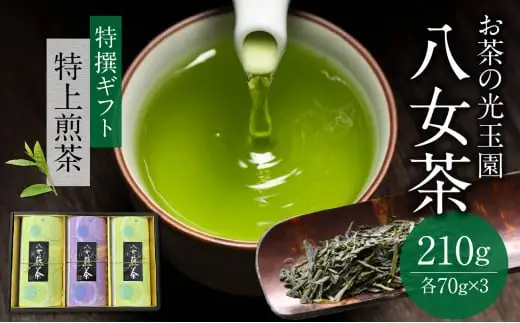 【お茶の光玉園】八女茶ギフト 70g×3本セット 049-003